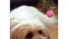 狗狗心事在线观看