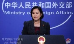 外交部最新爆料信息网,揭秘国际风云变幻背后的真相