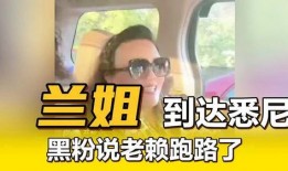 兰姐黑粉爆料视频,真相与争议并存